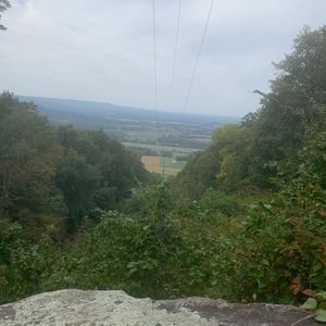 Meet your Posher, Jackson